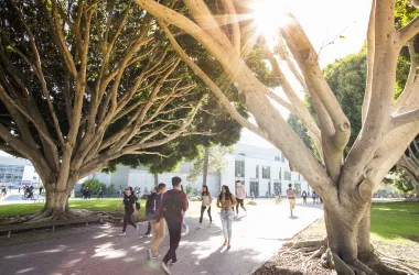 light shining through trees